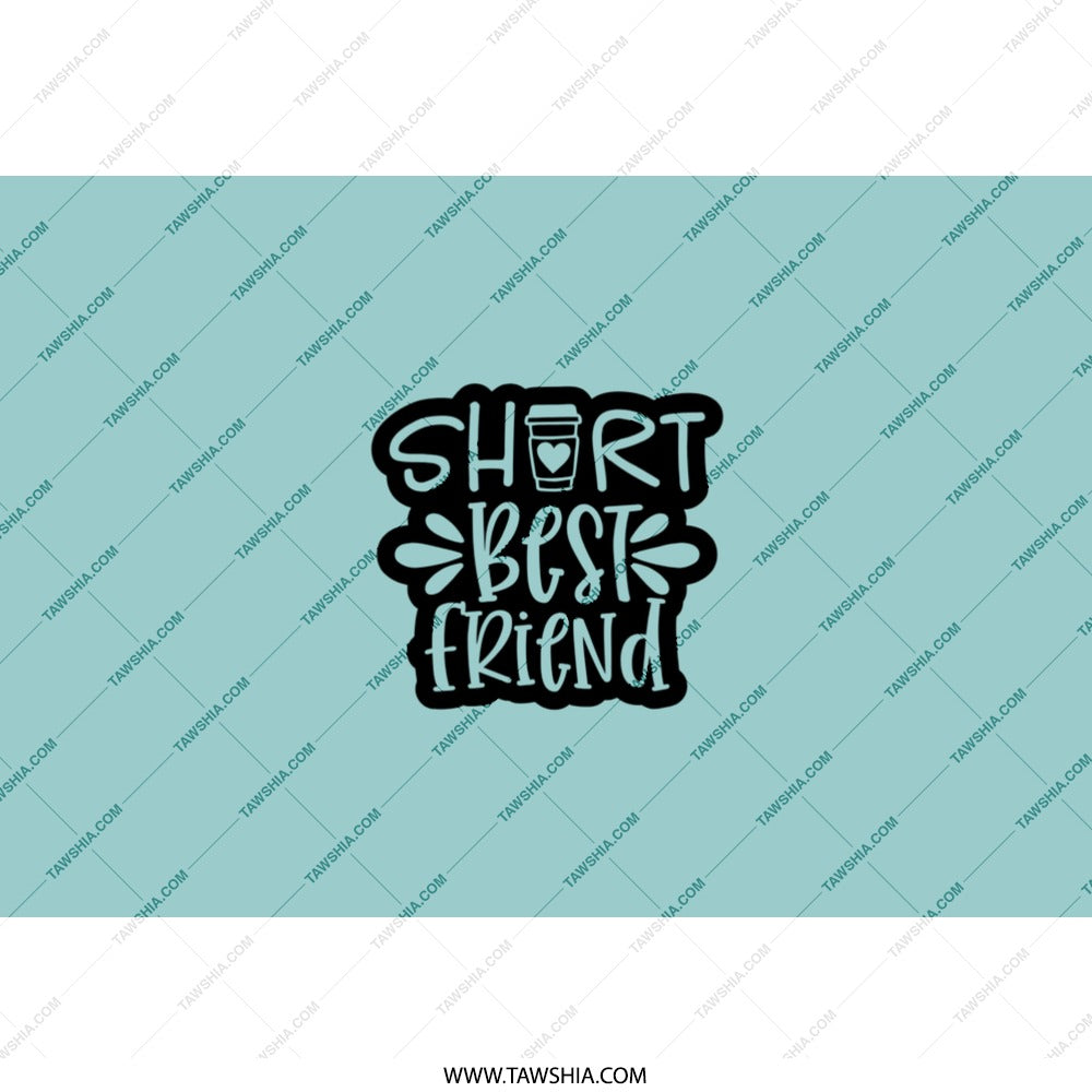 Short Best Friend Tumbler, Coffee Lover Gift, Bestie Tumbler, Friendship Gift Idea, Cute Tumbler, Friend Tumbler, Gift for Friends - Tawshia