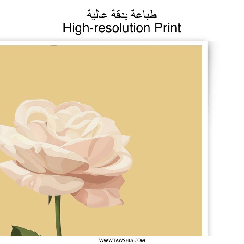 Rose Photographic Print, Floral Wall Art, Botanical Decor, Single Rose Print, Flower Photography, Elegant Art Print, Peach Rose Art - Tawshia
