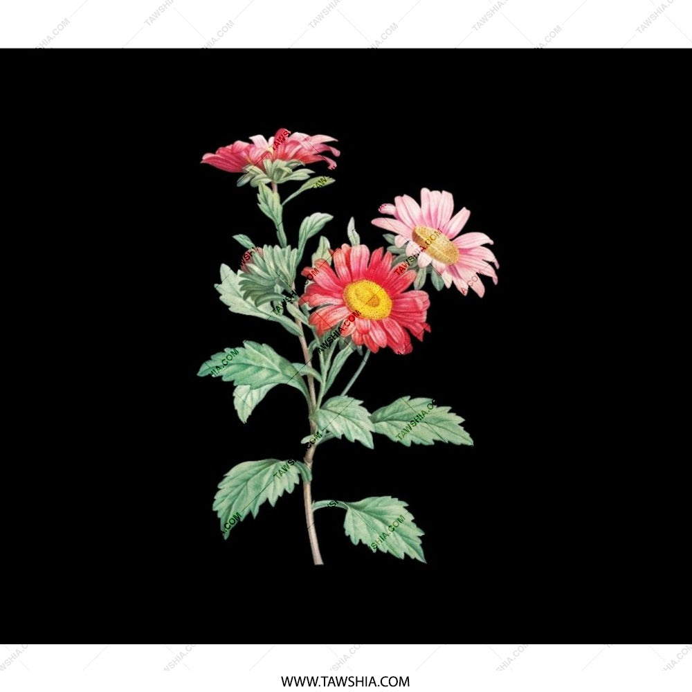 Pink Daisy Backpack, Floral Backpack, Flower Art Bag, Cute Backpack, Botanical Print Bag, Gift for Her, Book Bag, Travel Backpack - Tawshia