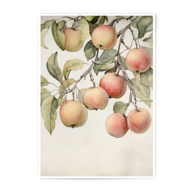 Apple Branch Photographic Print, Watercolor Apples Art, Fruit Tree Illustration, Kitchen Decor, Farmhouse Print, Still Life Print - Tawshia