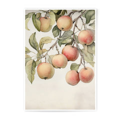 Apple Branch Photographic Print, Watercolor Apples Art, Fruit Tree Illustration, Kitchen Decor, Farmhouse Print, Still Life Print - Tawshia