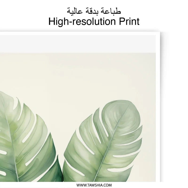 Monstera Photographic Print, Botanical Art, Tropical Wall Decor, Leaf Print, Minimalist Art, Home Decor, Tropical Plant Print - Tawshia