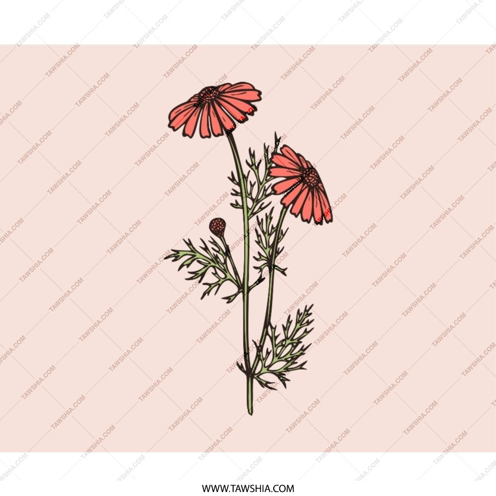 Floral Mouse Pad, Chamomile Flower, Botanical Desk Accessory, Cute Computer Mat, Pretty Office Decor, Gift for Her, Floral Lover - Tawshia