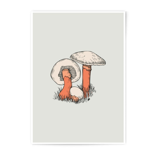 Mushroom Photographic Prints, Fungi Art Print, Botanical Wall Art, Mushroom Illustration, Nature Prints, Kitchen Decor, Cottagecore Decor - Tawshia