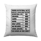 Best Friend Nutritional Facts Pillow, Friendship Gift, Amazing Woman, Funny Friend Quote, Gift for Friend, Decorative Throw Pillow - Tawshia