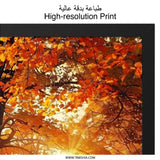 Autumn Forest Wall Art, Fall Landscape Print, Cozy Cabin Painting, Sunlight Through Trees, Thanksgiving Decor, Nature Photography - Tawshia