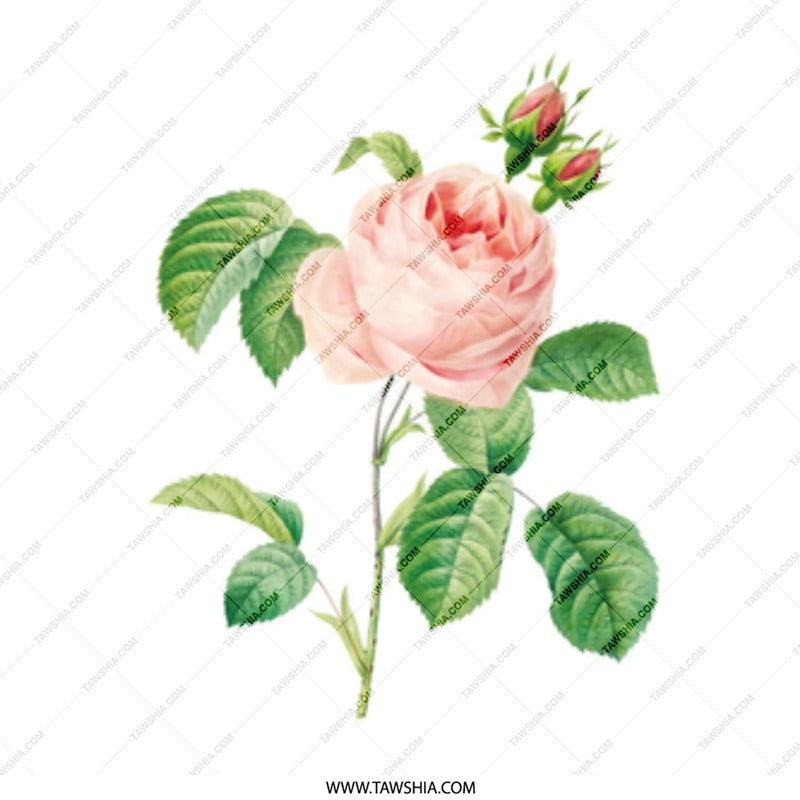 Vintage Rose Mug, Pink Rose Flower Mug, Botanical Mug, Floral Coffee Mug, Tea Mug, Gift for Her, Rose Lover Gift, Garden Mug (135) - Tawshia
