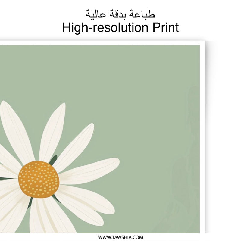 Daisy Photographic Print, Minimalist Floral Wall Art, Botanical Photo, Flower Illustration, Green Art Print, Home Decor, Gift Idea - Tawshia