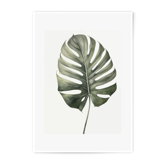 Monstera Leaf Photographic Print, Tropical Wall Art, Botanical Home Decor, Minimalist Plant Art, Nature Photography - Tawshia