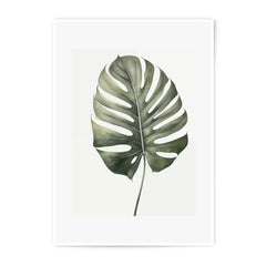 Monstera Leaf Photographic Print, Tropical Wall Art, Botanical Home Decor, Minimalist Plant Art, Nature Photography - Tawshia