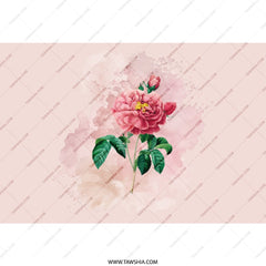 Pink Rose Tumbler, Floral Tumbler, Botanical Tumbler, Garden Rose, Flower Lover Gift, Watercolor Tumbler, Aesthetic Tumbler, Stylish - Tawshia