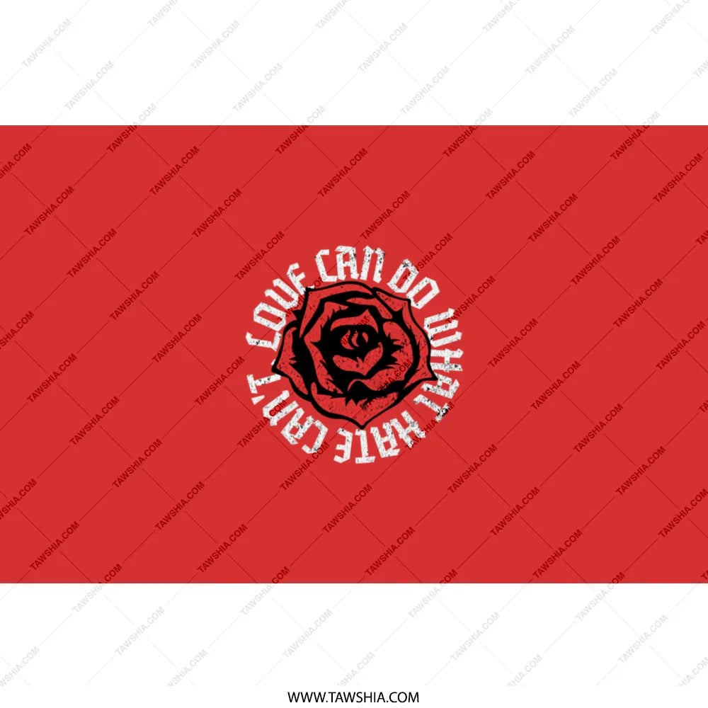 Love Can Do What Hate Can't Flag product