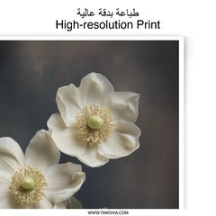 Hellebore Flower Photographic Print, Floral Wall Art, Dark Floral Art, Botanical Print, Moody Floral Print, White Flower Photography - Tawshia