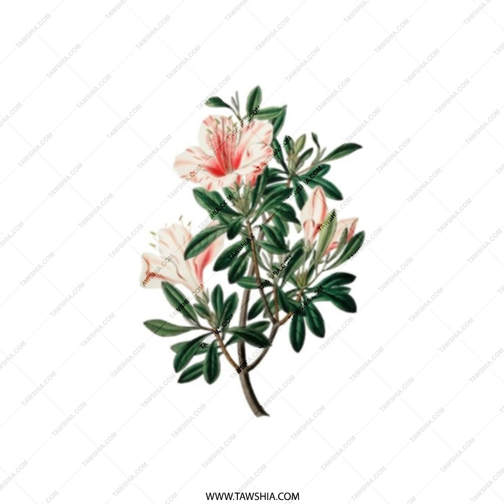 Azalea Pocket Mirror, Floral Pocket Mirror, Flower Pocket Mirror, Nature Pocket Mirror, Botanical Pocket Mirror, Gift for Her - Tawshia