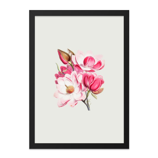 Pink Magnolia Wall Art, Vintage Floral Print, Botanical Illustration, Flower Home Decor, Antique Style Art - Tawshia