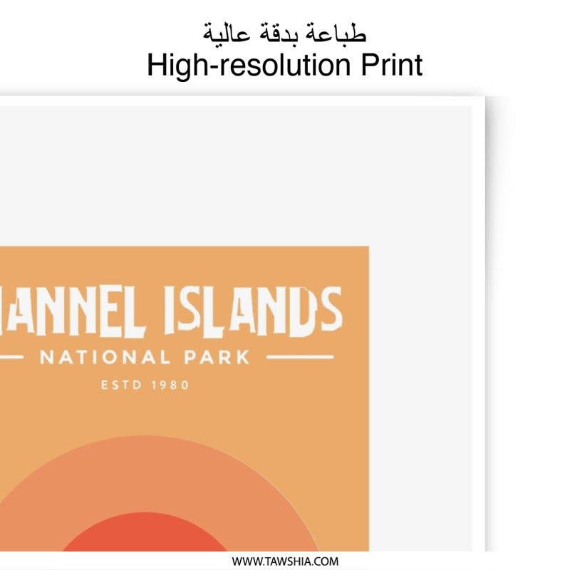 Channel Islands National Park Photographic Print, Dolphin Art, Coastal Decor, Travel Poster, Wall Art, Nature Print, Ocean View - Tawshia