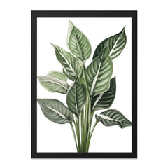 Calathea Plant Wall Art, Botanical Print, Tropical Leaf Decor, Greenery Art, Modern Home Decor, Framed Art Print - Tawshia