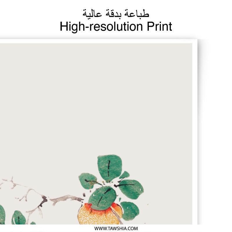 Persimmon Photographic Print, Asian Art Print, Japanese Print, Fruit Branch Wall Decor, Botanical Illustration, Nature Photography, Fine Art - Tawshia