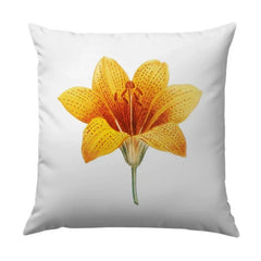 Floral Pillow, Tiger Lily Pillow, Flower Throw Pillow, Botanical Print Pillow, Home Decor Pillow, Accent Pillow - Tawshia