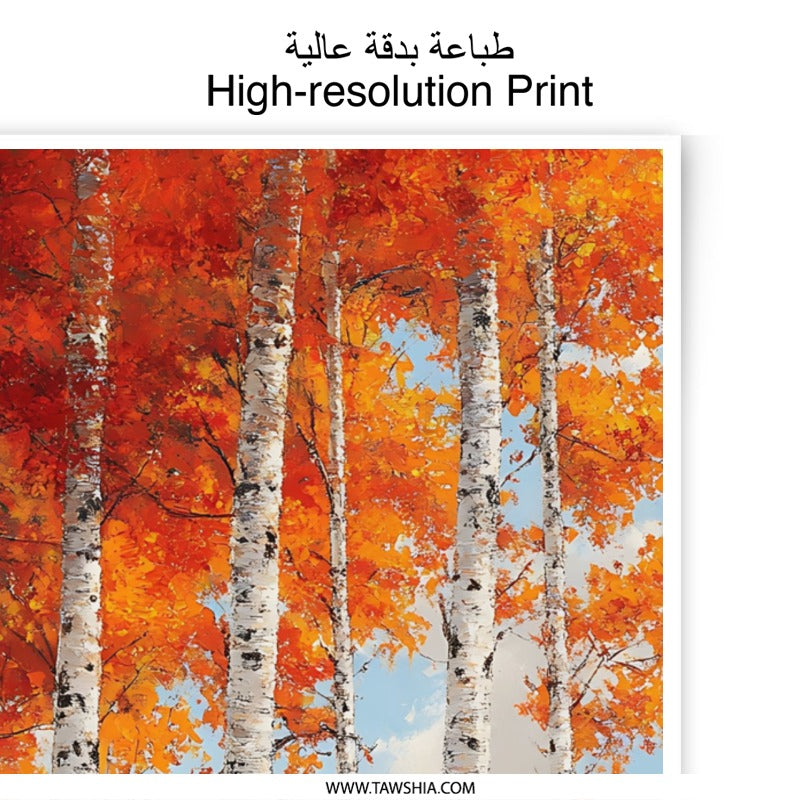 Aspen Trees Photographic Print, Autumn Landscape Art, Birch Tree Forest, Mountain View, Wall Art Decor, Nature Photography - Tawshia