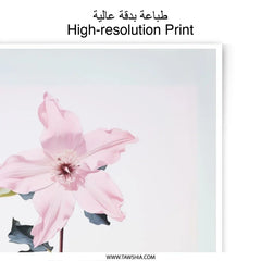 Pink Clematis Photographic Print, Floral Wall Art, Modern Flower Photography, Botanical Home Decor, Fine Art Print - Tawshia