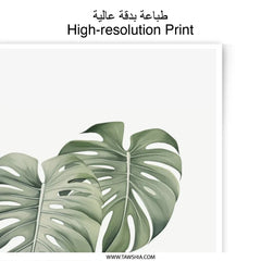 Monstera Leaf Photographic Print, Tropical Decor, Botanical Wall Art, Houseplant Print, Minimalist Art, Green Leaves, Plant Lover Gift - Tawshia