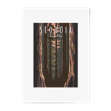 Sequoia National Park Photographic Print, Forest Wall Art, Nature Photography, California Art Print, Tree Decor, Landscape Photo - Tawshia