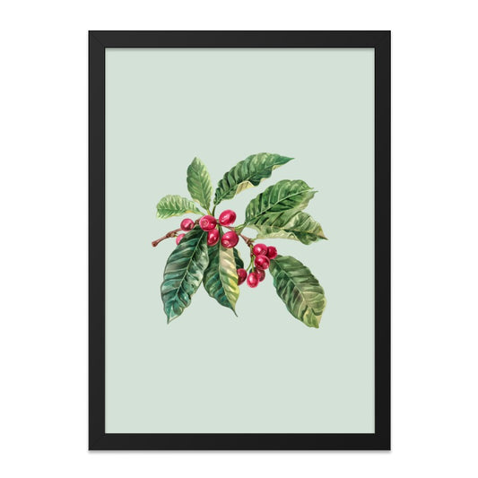 Coffee Bean Branch Wall Art, Botanical Illustration Print, Vintage Plant Decor, Kitchen Art Print, Coffee Lover Gift, Framed Art - Tawshia