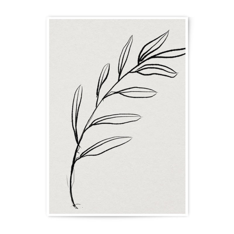 Olive Branch Photographic Print, Botanical Wall Art, Minimalist Decor, Nature Inspired Photo, Home Decor, Elegant Print, Simple Design - Tawshia