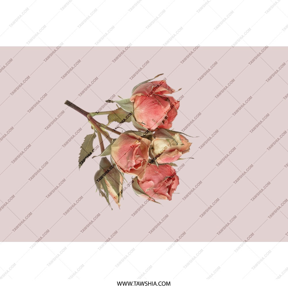 Roses Tumbler, Floral Tumbler, Flower Design, Botanical Tumbler, Pretty Tumbler, Nature Tumbler, Gift For Her, Gift For Mom, Roses Gift - Tawshia