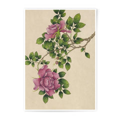 Pink Rose Photographic Print, Floral Wall Art, Botanical Decor, Antique Rose Art Print, Flower Photography, Nature Print, Home Decor - Tawshia