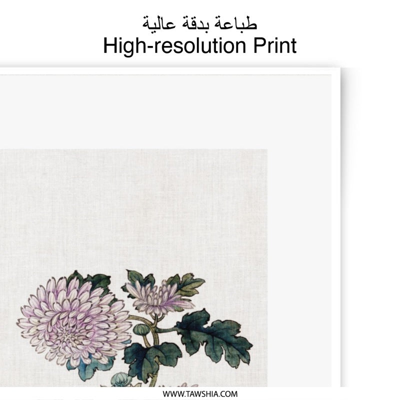 Floral Photographic Print, Chrysanthemum Art Print, Japanese Floral, Vintage Flower Art, Botanical Wall Art, Fine Art Print - Tawshia