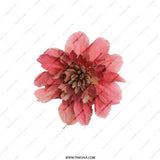 Pink Zinnia Pocket Mirror, Floral Compact Mirror, Flower Gift, Cosmetic Mirror, Beautiful Zinnia Design, Cute Mirror, Makeup Mirror - Tawshia