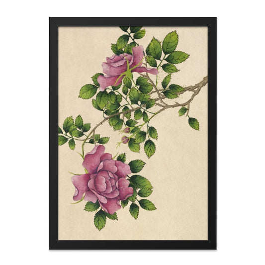 Vintage Rose Wall Art, Floral Botanical Print, Antique Flower Painting, Cottagecore Decor, Romantic Home Art, Framed Rose Print - Tawshia