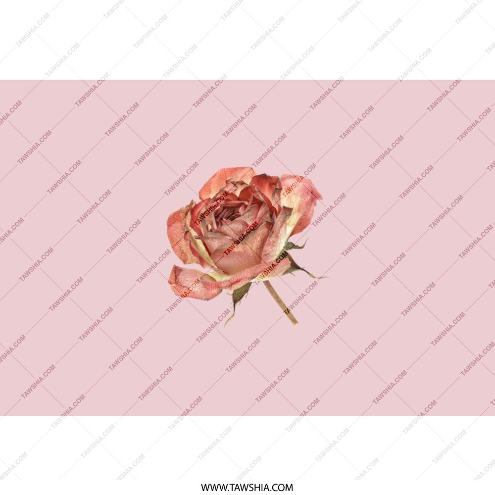 Rose Tumbler, Pink Floral Tumbler, Flower Tumbler, Botanical Gift, Personalized Tumbler, Gift for Her, Floral Design, Nature Lover Tumbler - Tawshia