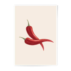 Red Chili Peppers Photographic Print, Kitchen Art, Food Illustration, Botanical Art, Spice Decor, Minimalist Art, Modern Home Decor - Tawshia