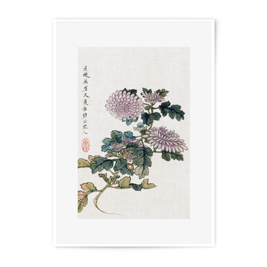 Floral Photographic Print, Chrysanthemum Art Print, Japanese Floral, Vintage Flower Art, Botanical Wall Art, Fine Art Print - Tawshia