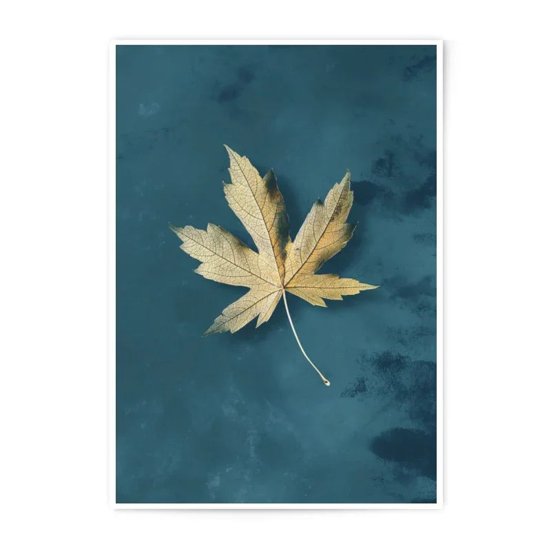 Maple Leaf Photographic Print, Autumn Decor, Nature Wall Art, Botanical Print, Fall Foliage, Fine Art Print, Home Decor, Minimalist Art - Tawshia