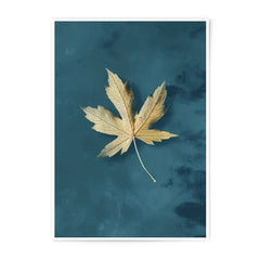 Maple Leaf Photographic Print, Autumn Decor, Nature Wall Art, Botanical Print, Fall Foliage, Fine Art Print, Home Decor, Minimalist Art - Tawshia