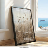 Coastal Grass Wall Art, Neutral Beach Print, Nature Photography, Minimalist Home Decor, Bohemian Style, Landscape Art Print, Calming Artwork - Tawshia