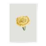 Yellow Cactus Flower Photographic Prints, Botanical Wall Art, Desert Bloom Photo, Floral Fine Art Print, Unique Home Decor - Tawshia