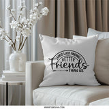 Funny Friend Gift Pillow, Sarcastic Best Friend Pillow, Gift for Friends, Friendship Quote Pillow, Unique Friend Present Idea - Tawshia