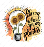 Bloom Where You Are Planted Mug, Sunflower Lover Gift, Motivational Mug, Positive Vibes, Inspirational Coffee Cup, Gardening Gift - Tawshia
