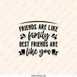 Friends Like Family Pocket Mirror, Best Friend Gift, Friendship Quote Mirror, Personalized Mirror, Travel Mirror, Makeup Mirror - Tawshia