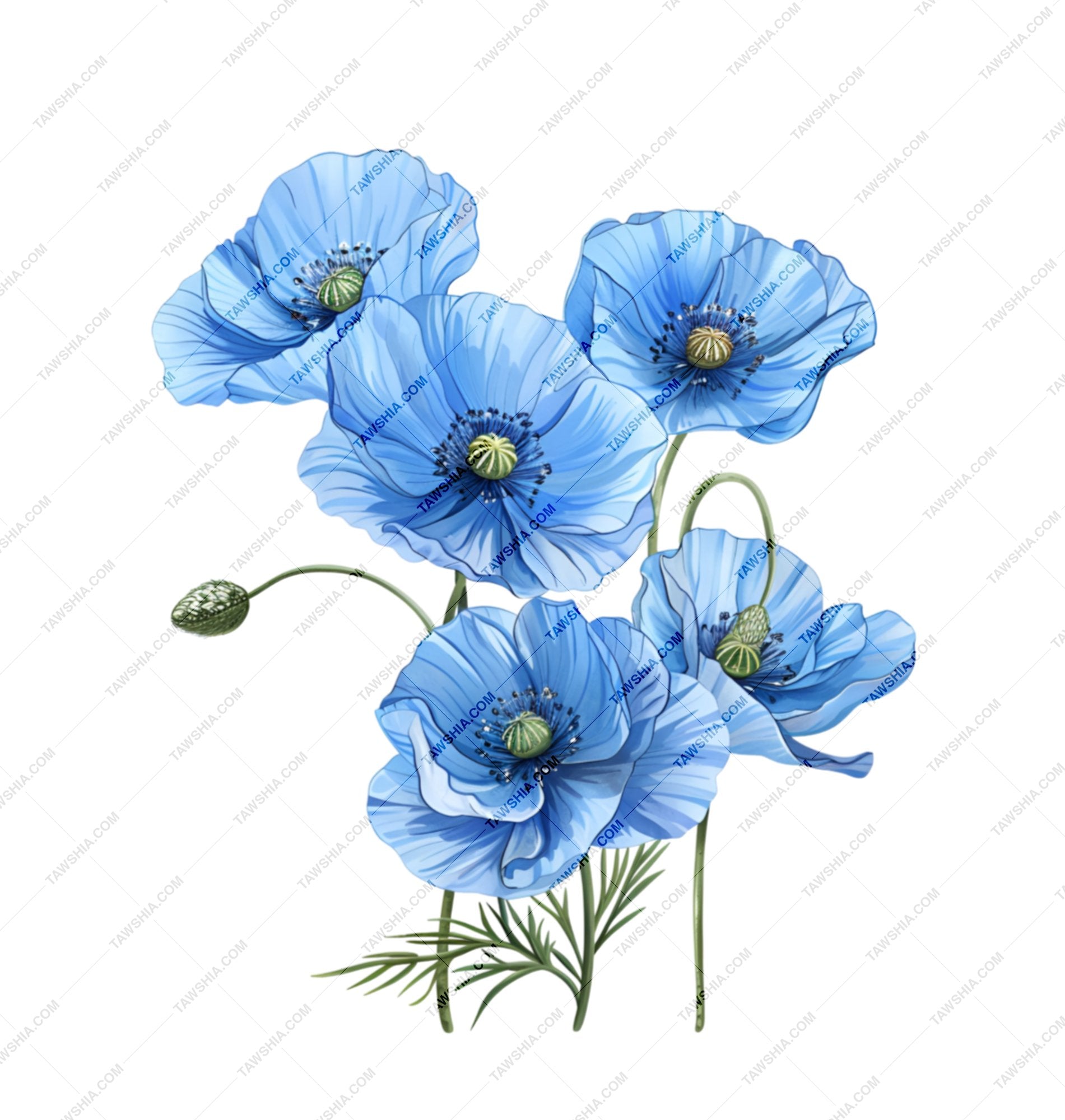 Beautiful Blue Blossom Print Floral Art product
