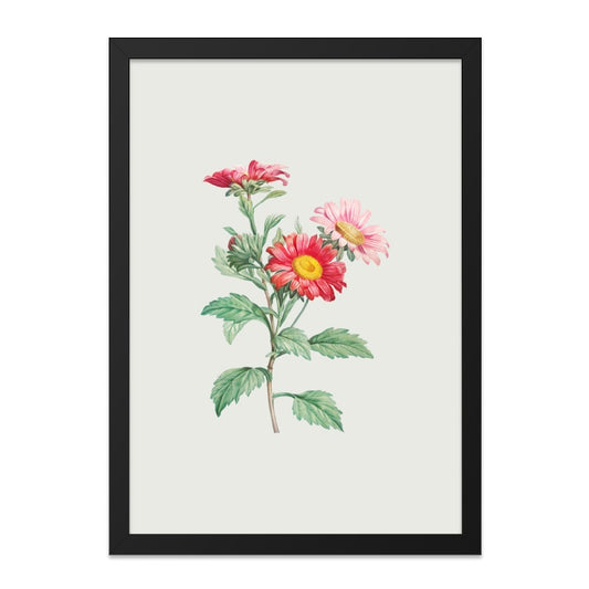 Vintage Aster Flower Wall Art, Botanical Print, Floral Wall Decor, Red Pink Flowers Artwork, Home Decor, Trending Wall Art - Tawshia