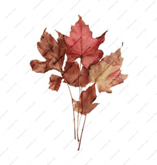 Autumn Leaves Mug, Fall Colors Mug, Nature Lover Gift, Botanical Print, Coffee Mug, Tea Cup, Seasonal Decor, Thanksgiving Gift - Tawshia