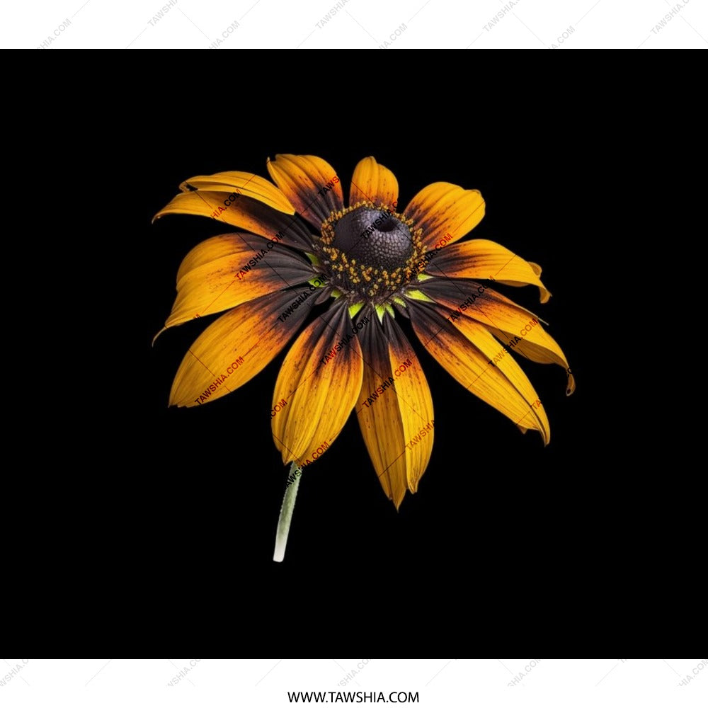Black Eyed Susan Backpack, Floral Backpack, Flower Print Bag, Botanical Backpack, Nature Lover Gift, Unique Backpack Design, School Backpack - Tawshia
