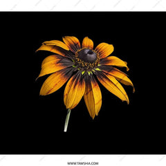 Black Eyed Susan Backpack, Floral Backpack, Flower Print Bag, Botanical Backpack, Nature Lover Gift, Unique Backpack Design, School Backpack - Tawshia