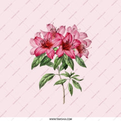 Pink Azalea Pocket Mirror, Floral Compact Mirror, Flower Blossom Gift, Botanical Makeup Mirror, Aesthetic Mirror, On The Go Mirror - Tawshia